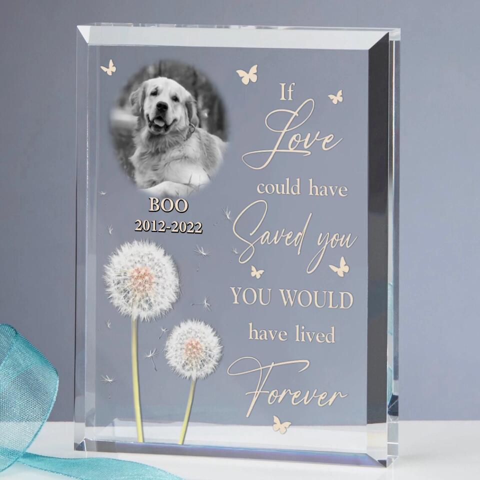 Personalized Pet Memorial Rectangle Acrylic Plaque | Custom Photo | "If Love Could Have Saved You"