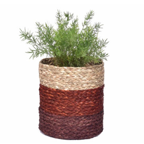 Handwoven Sabai Grass Plant Basket - Natural Brown