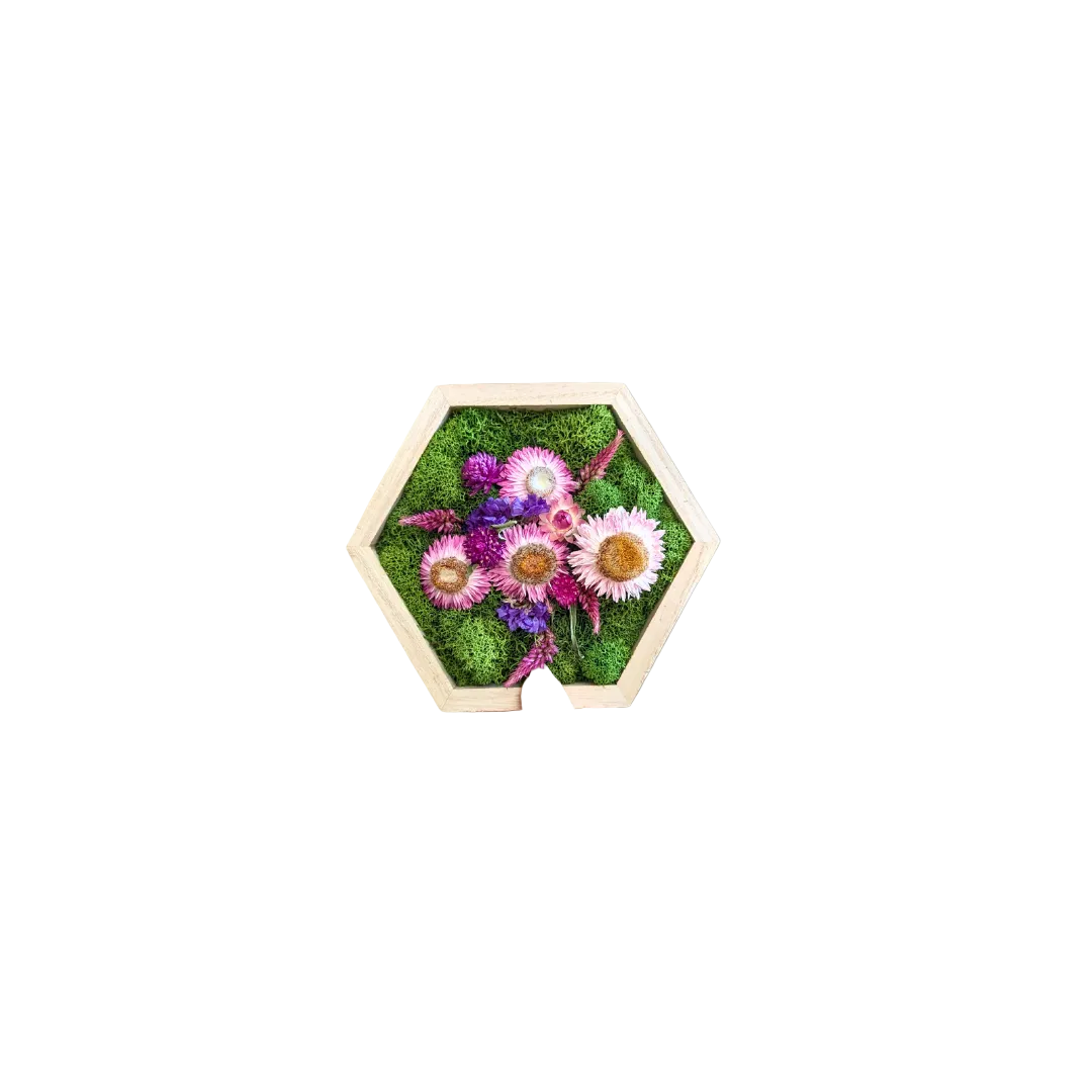 Hexagon Garden