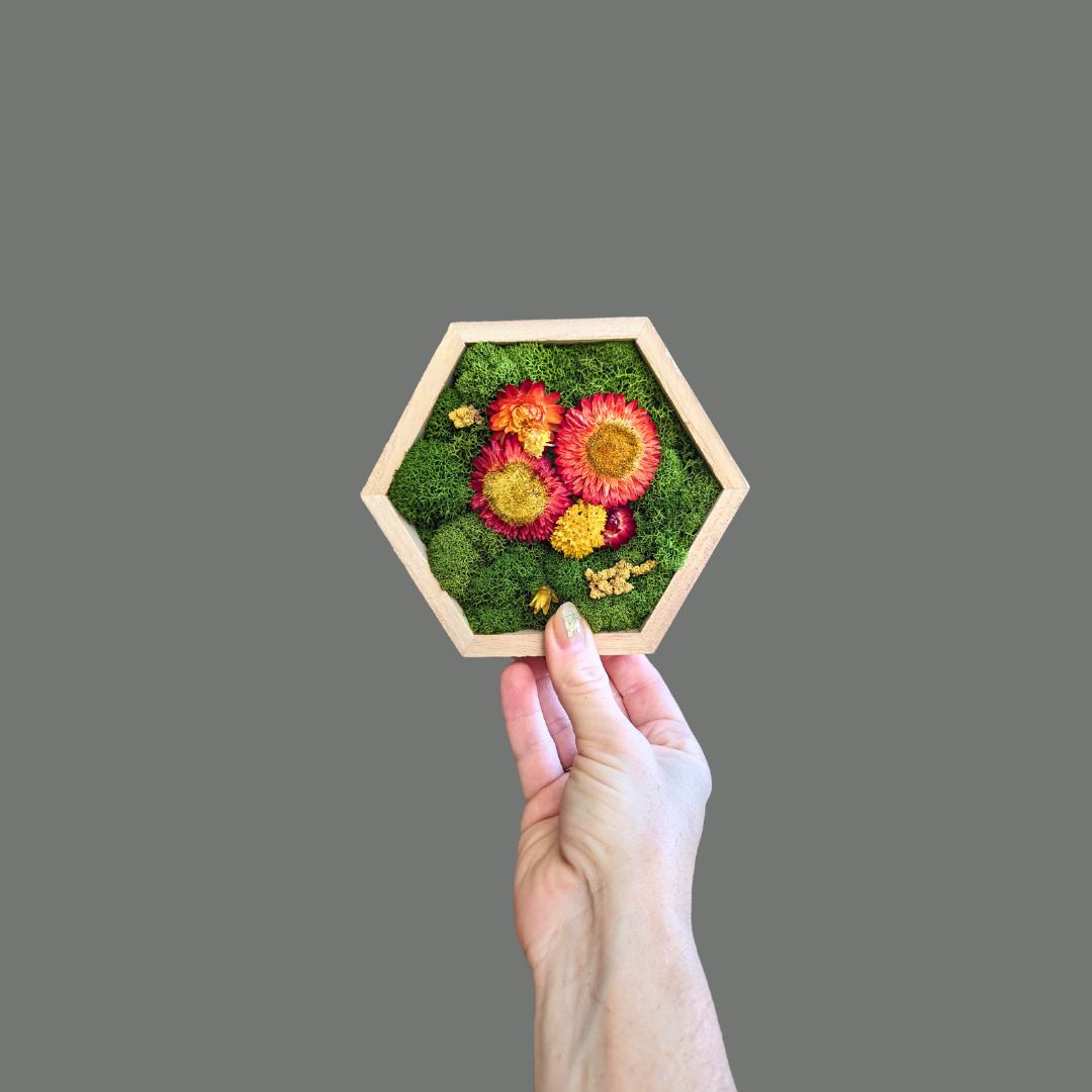 Hexagon Garden