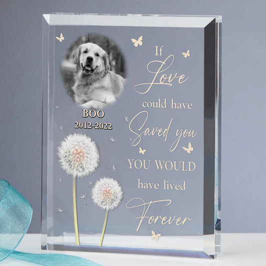 Personalized Pet Memorial Rectangle Acrylic Plaque | Custom Photo | "If Love Could Have Saved You"