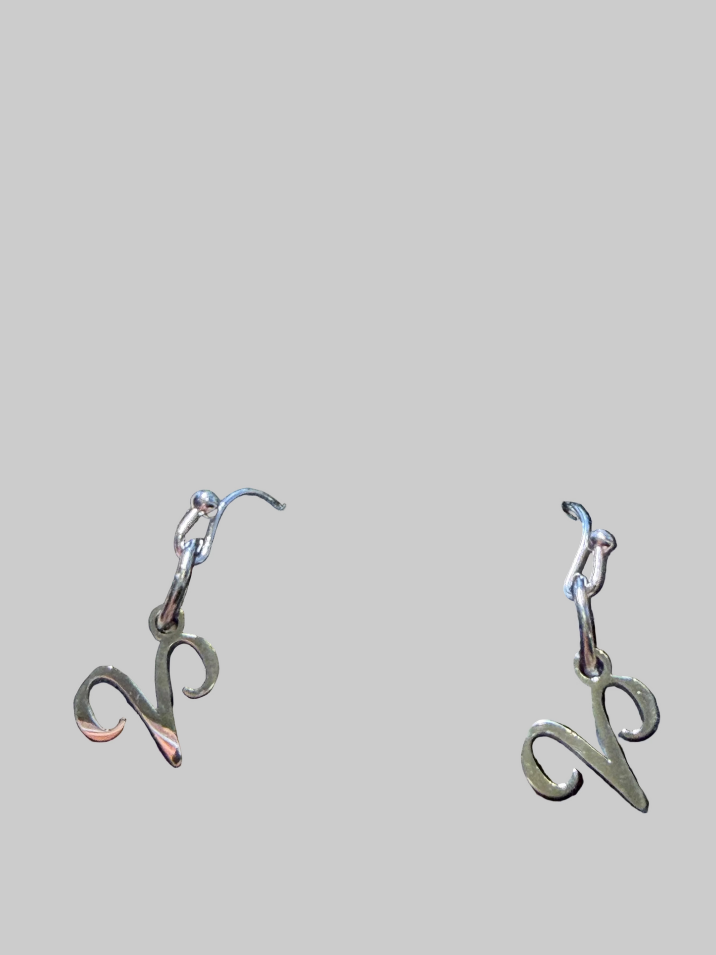 Stainless Steel  Zodiac Earrings