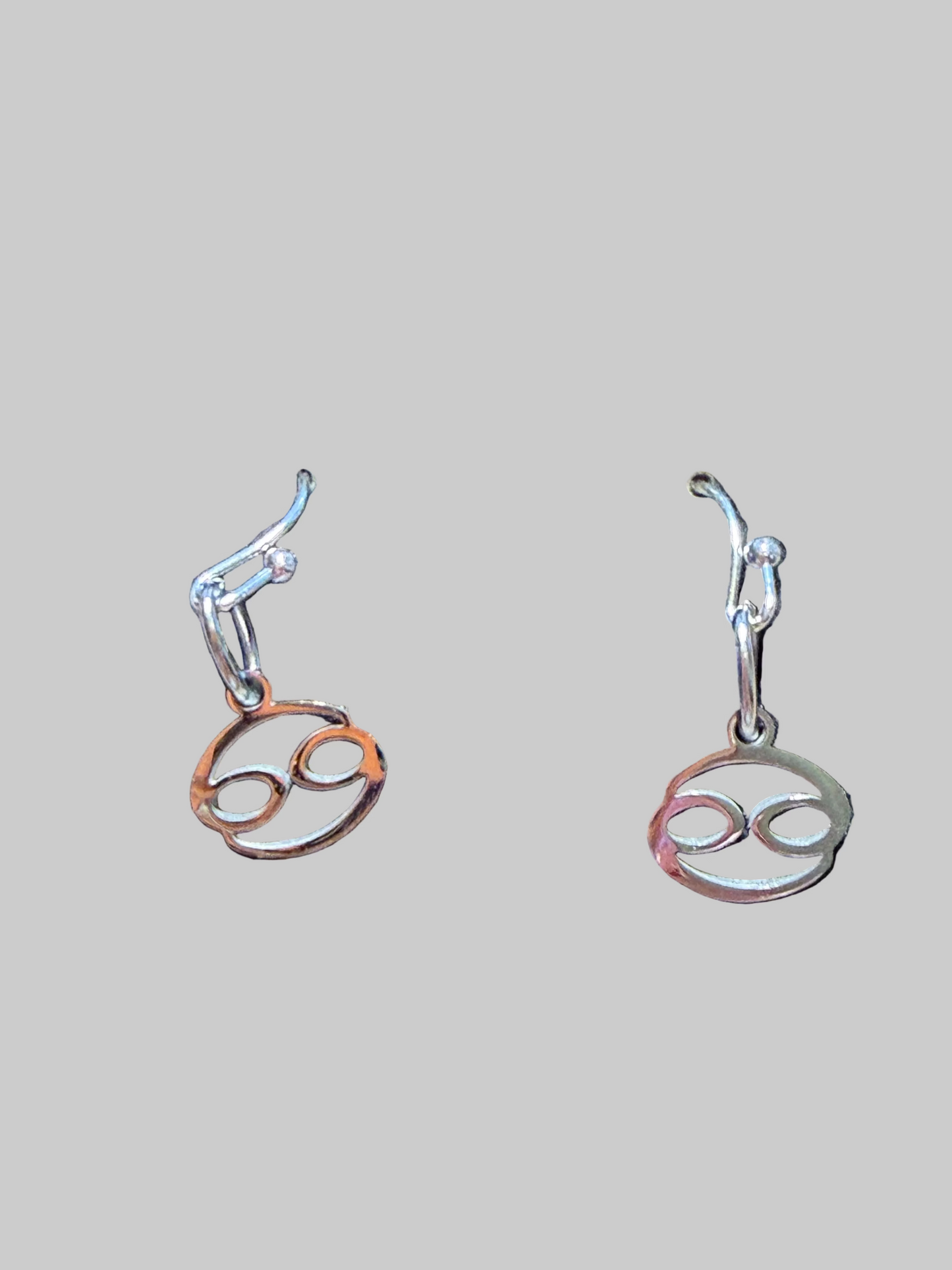 Stainless Steel  Zodiac Earrings