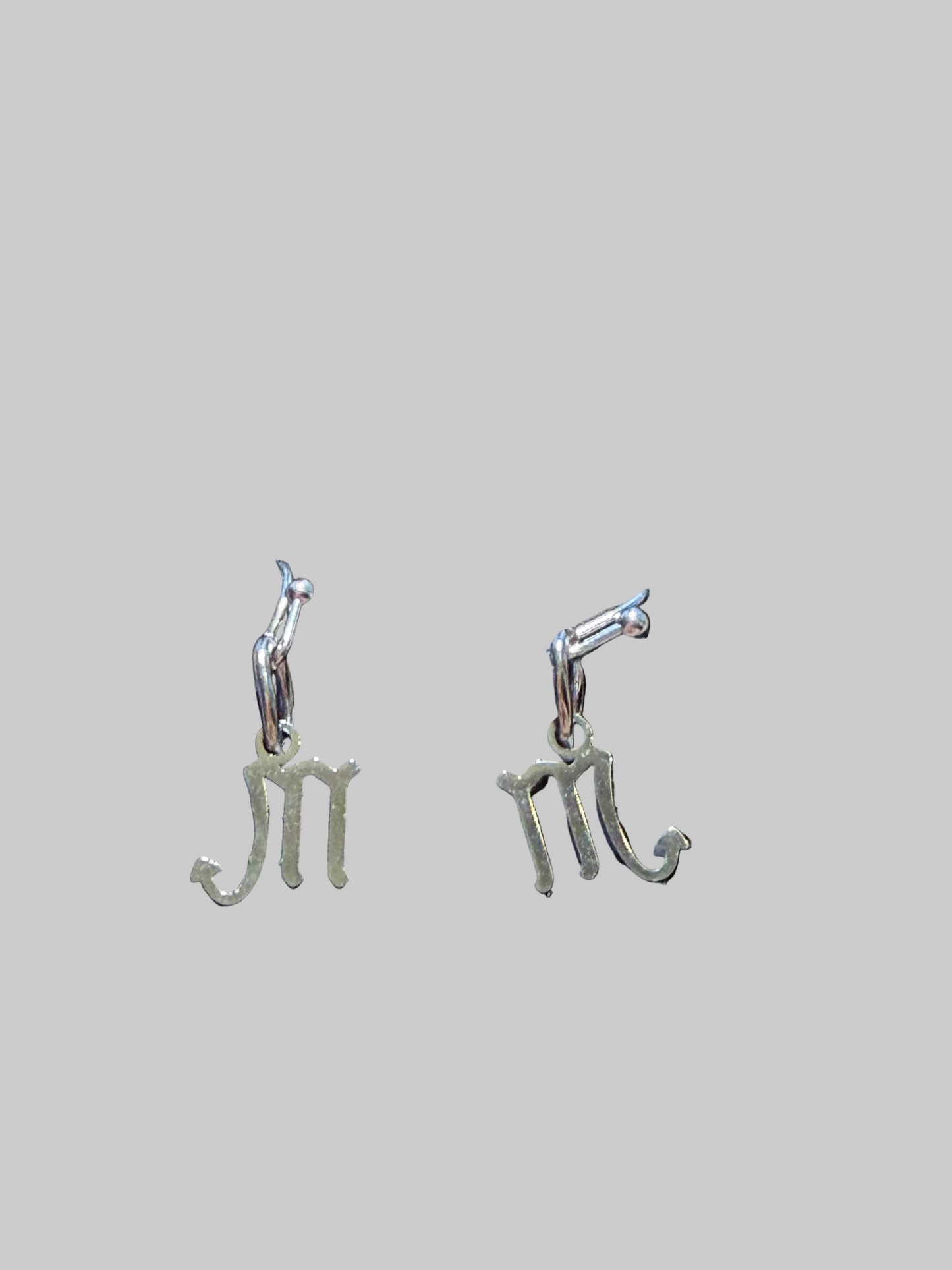 Stainless Steel  Zodiac Earrings