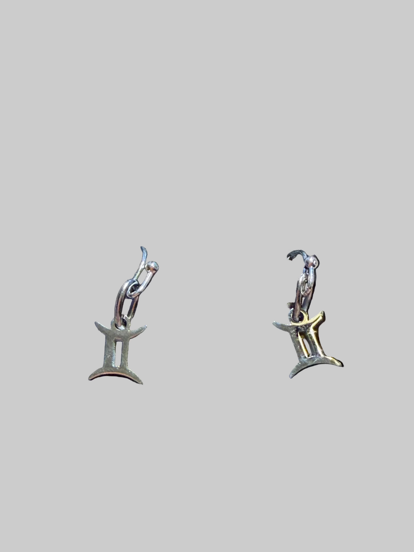 Stainless Steel  Zodiac Earrings