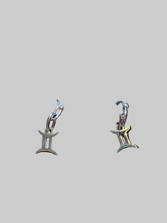 Stainless Steel  Zodiac Earrings