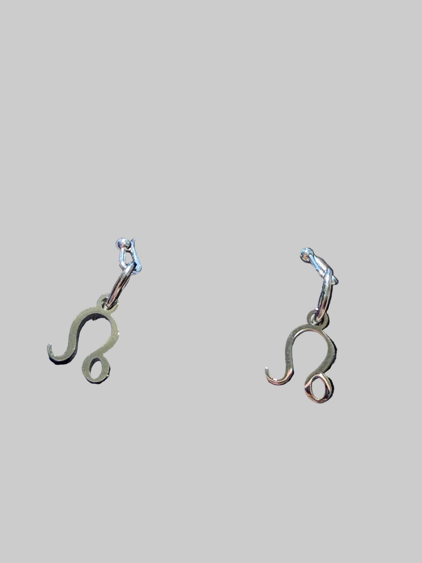 Stainless Steel  Zodiac Earrings