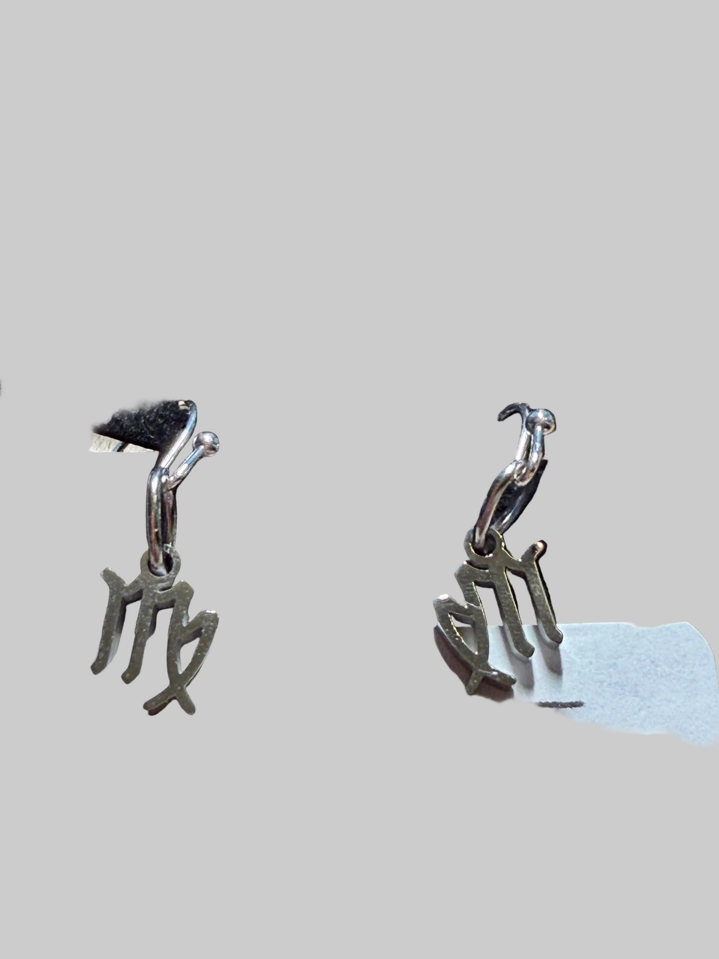 Stainless Steel  Zodiac Earrings