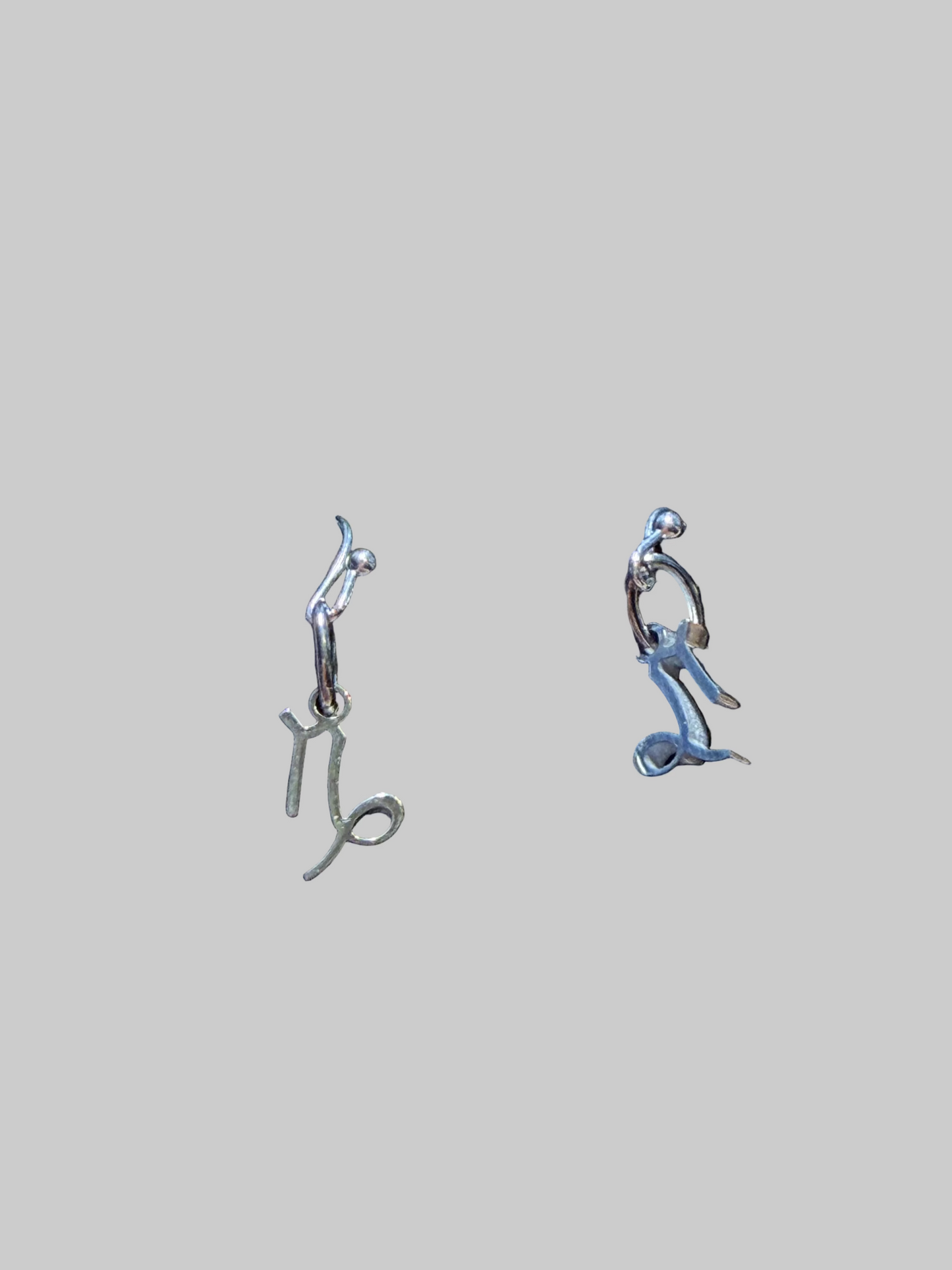 Stainless Steel  Zodiac Earrings