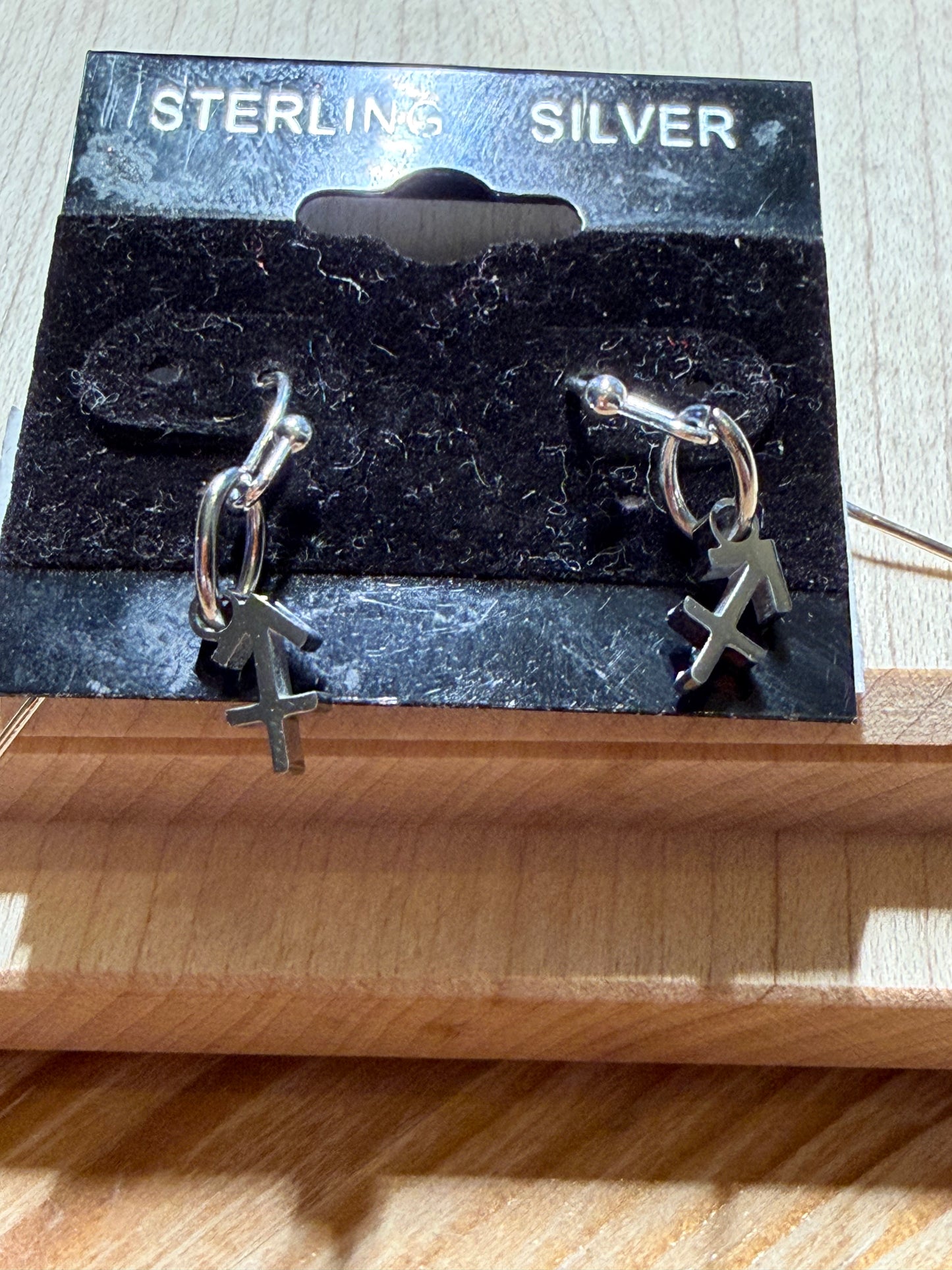 Stainless Steel  Zodiac Earrings