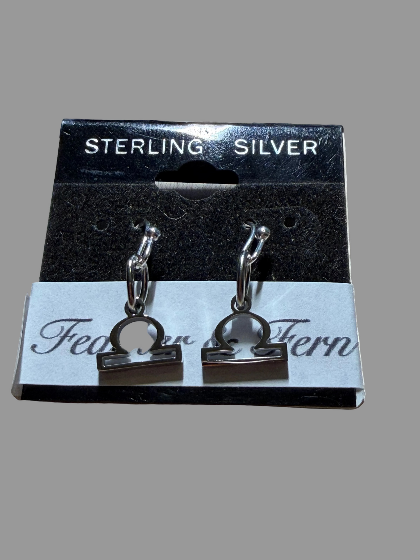 Stainless Steel  Zodiac Earrings