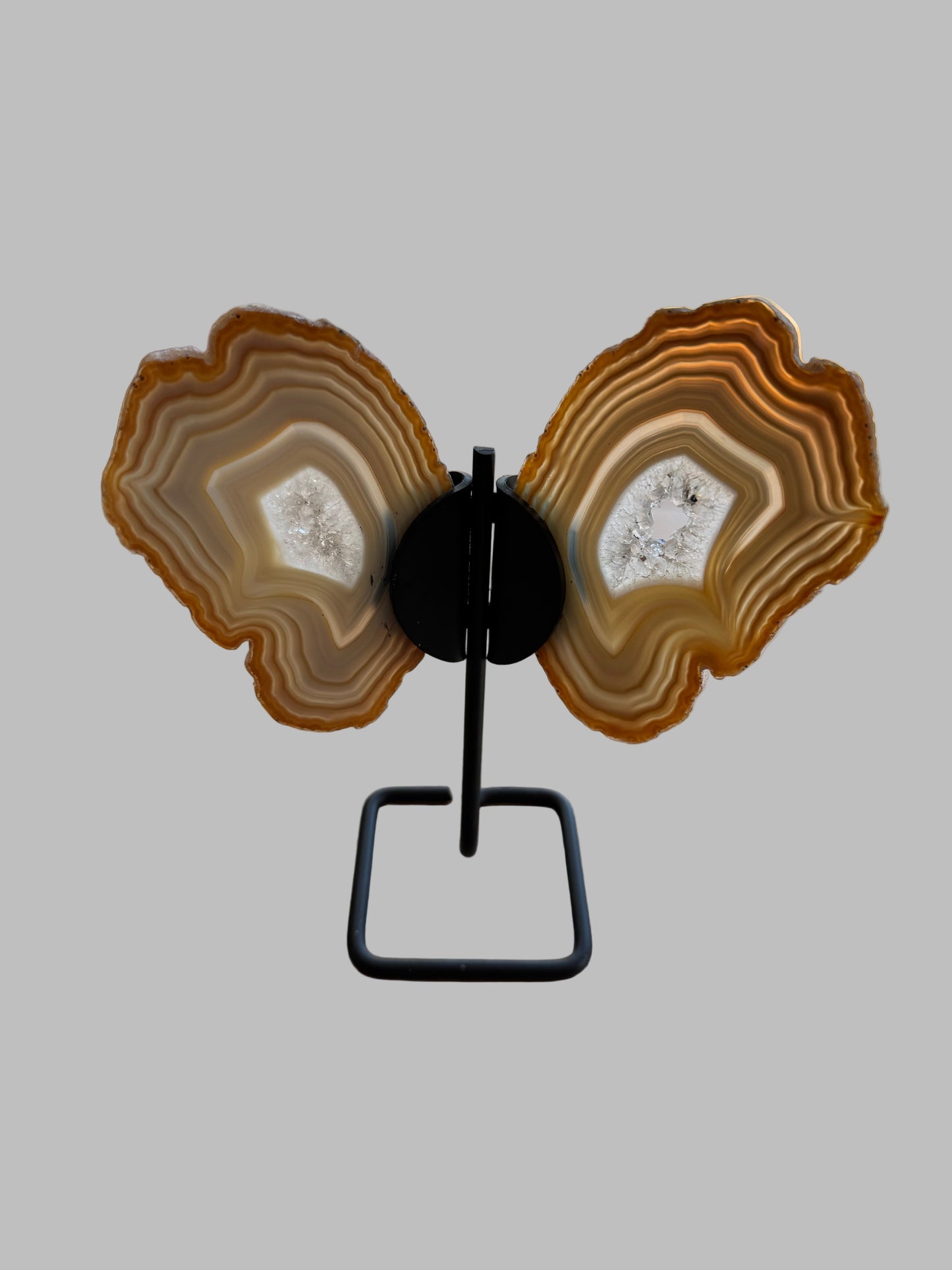 Carved Brown Agate Butterfly on Black Stand - 6" Crystal Sculpture