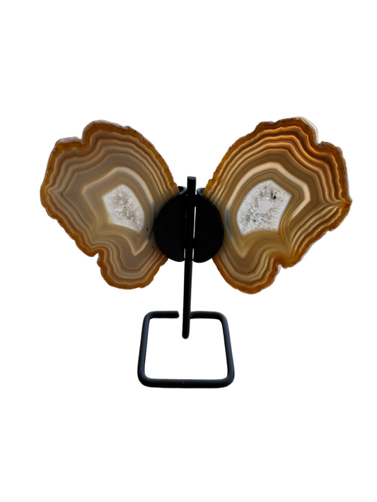 Carved Brown Agate Butterfly on Black Stand - 6" Crystal Sculpture